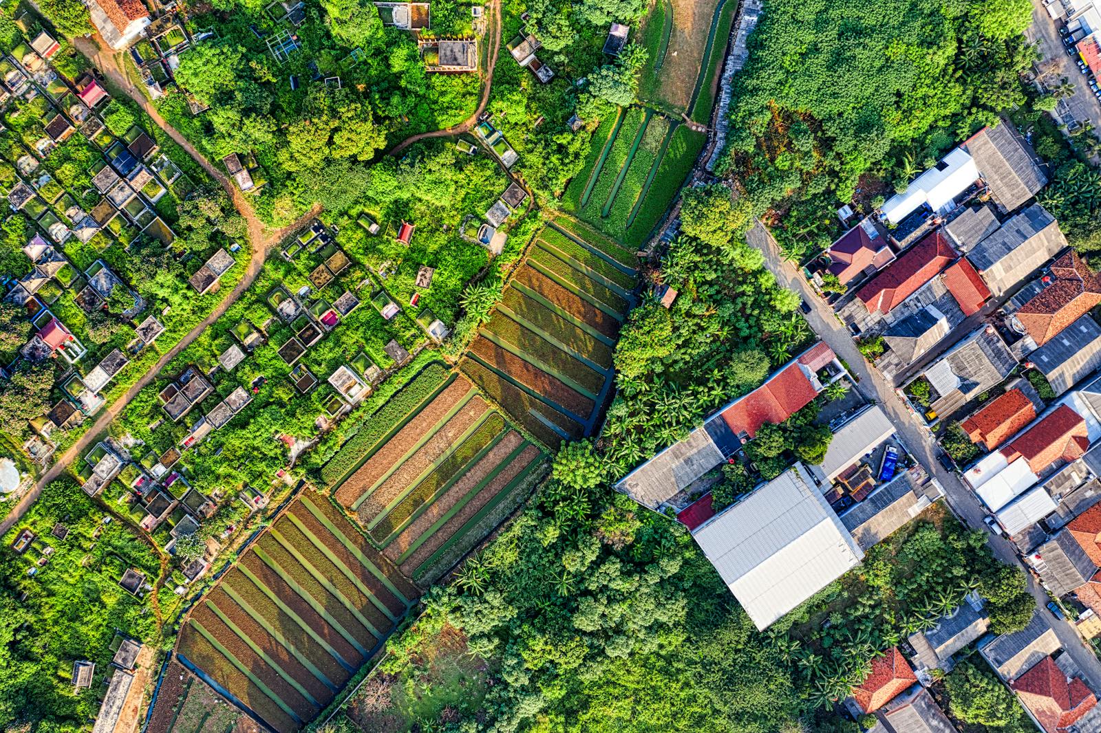 Aerial photo showcasing lush croplands and residential area in Tangerang, Indonesia.